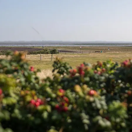 Haus Braeaetlun Braeaetlun 2 * Norddorf